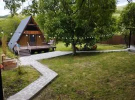 Modern Chalet
