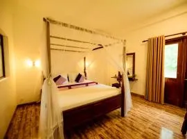 Ashwin Ayurveda Villa