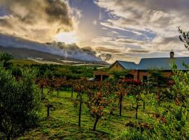 Vineyard Views Country House