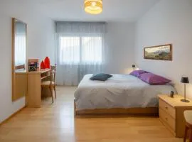Dolomiapartments - Appartamento Centrale