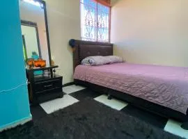 Ajolote House