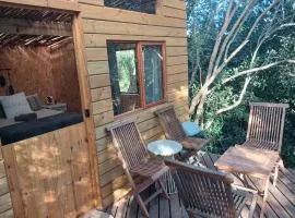 Gaia River Cabin