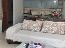 Ευρύχωρο και άνετο διαμέρισμα στην Ιτέα Joanna's Apartment