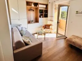 Boljevic Apartments