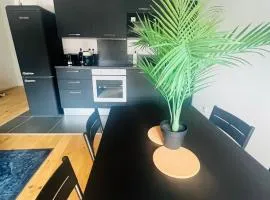 Magnifique T3 refait à neuf centre-ville