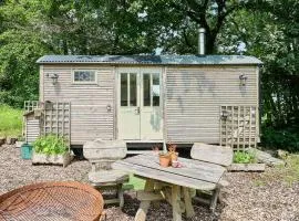 Host & Stay - Dipple Farm Shepherds Hut
