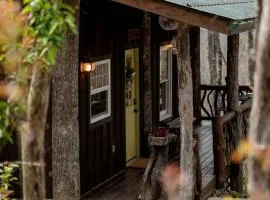 Secluded Delight: Unplug and Reconnect in a Special House in Lake Toxaway's Woods
