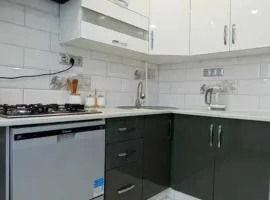Olena's apartment