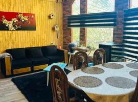 Cabañas Alturas Chillan Benjamin