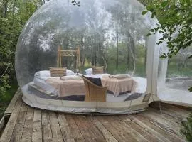 Aurora Igloo in nature with shared hot tub, kitchen and bathroom
