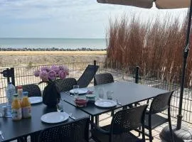 Enkhuizer Strand BeachHouse Strandgut mit Zaun Nr 400