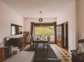 Douro Panorama Valley