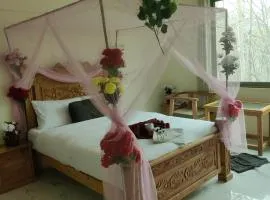 Arcadian Resort Skardu