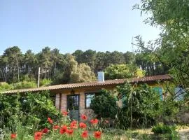 Casa Rural Las Gesillas