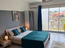 Spacious studio - centre ville