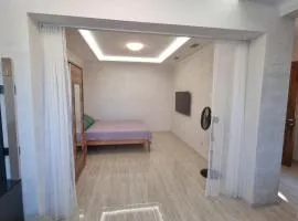 Modern one-room apartment