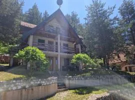 Vila Borovi