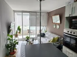 Cozy and nice apartment