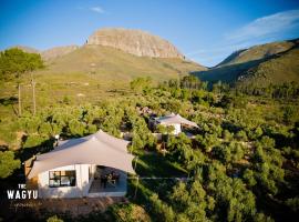 Wagyu Mountain Lodge, hotel sa Paarl