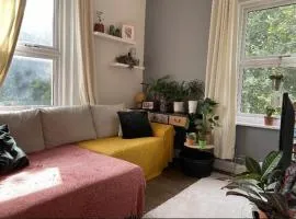1 bedroom flat