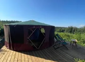 Mini yourte dans la forêt