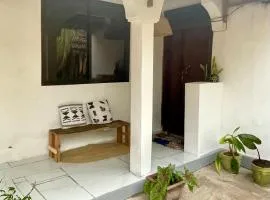 Palm & Earth Rooms