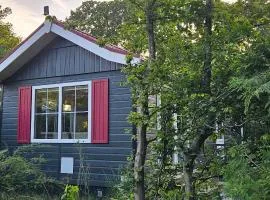 De Kleine kriemelkuil-Het Koentje
