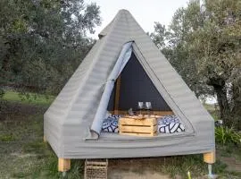 Glamping la lodola