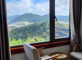 3 Tầng Mây Homestay & Coffee