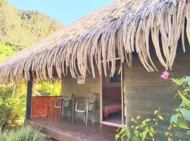 HUAHINE - Bungalow Perroquet