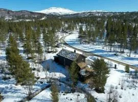 Family Cabin By The River In Hovden