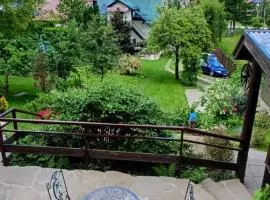House under the Green Roof