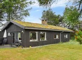 Lovely Cottage Close To The North Sea