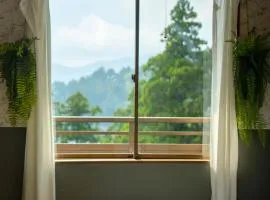 箱根 杉並木