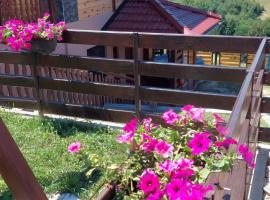 Apartman Sofiana, hotel en Bajina Bašta