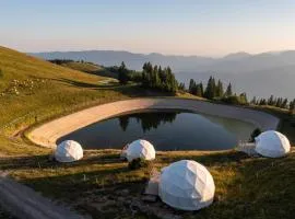 Stargazing Glamping Domes Golte