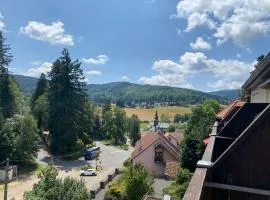 Le Chalet du Hohwald