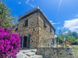 Historic Farmhouse Among Olive Groves Near The Sea