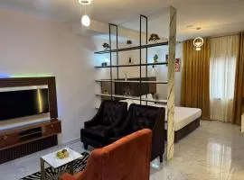 Spacious Studio Apartment in Portharcourt