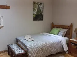'The Cape Robin' studio apartment