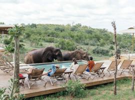 Isambane Camp, hotel v destinaci Rezervace Balule