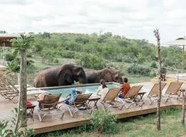 Isambane Camp