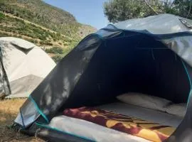 Waveside Camping