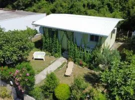 Green House and garden