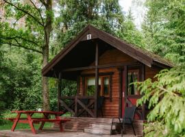 Kempings Lejasbisenieki