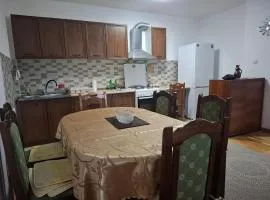 Za EXIT izdajem moderan i nov stan 48m2
