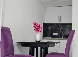 Studio Dana, hotel v destinaci Aranđelovac