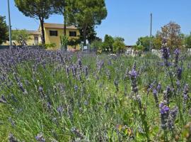 CaSAle, hotell i Castelfidardo