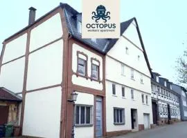 OCTOPUS-1 Monteurwohnung in Zentrum! 2-zkb in 1og