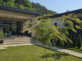 Delta Lake House 2